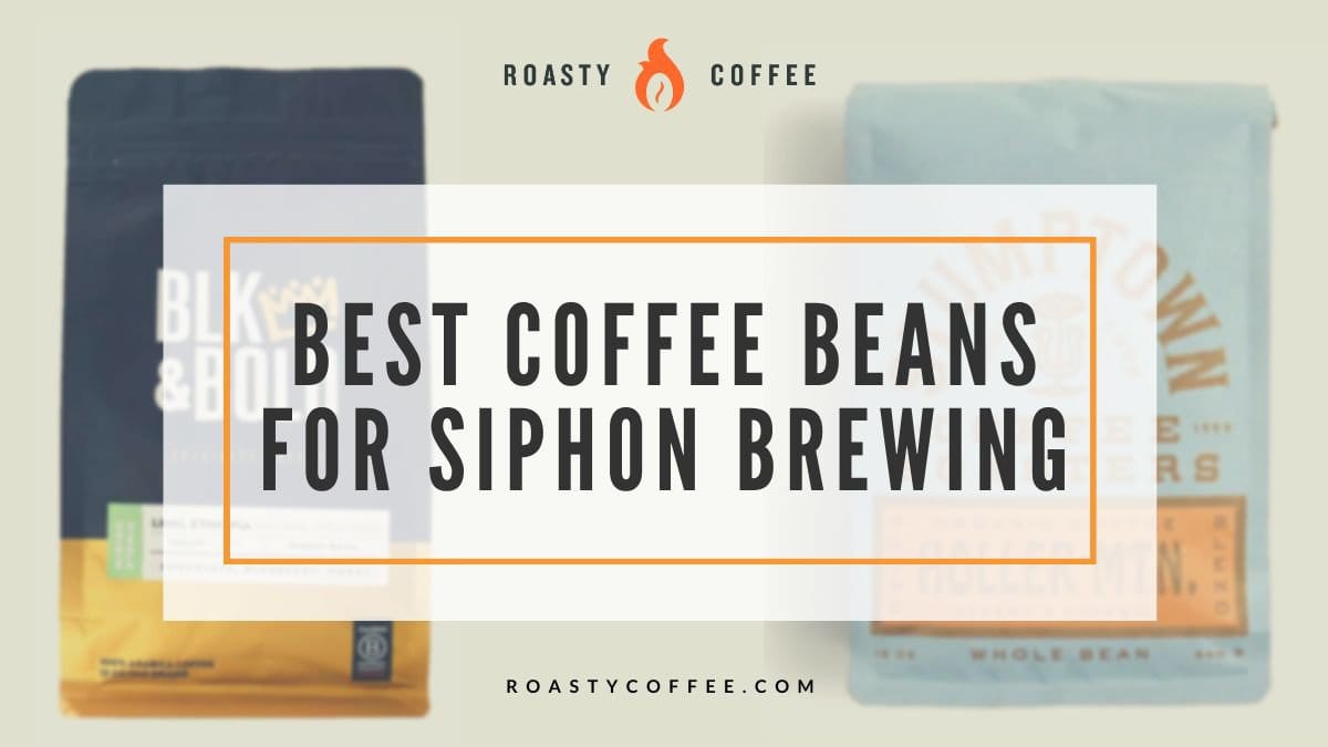 best coffee beans for siphon