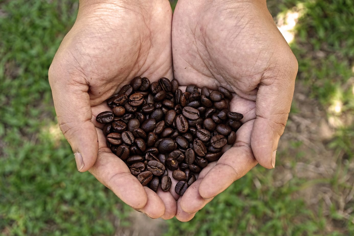 Costa Rican Coffee Maker