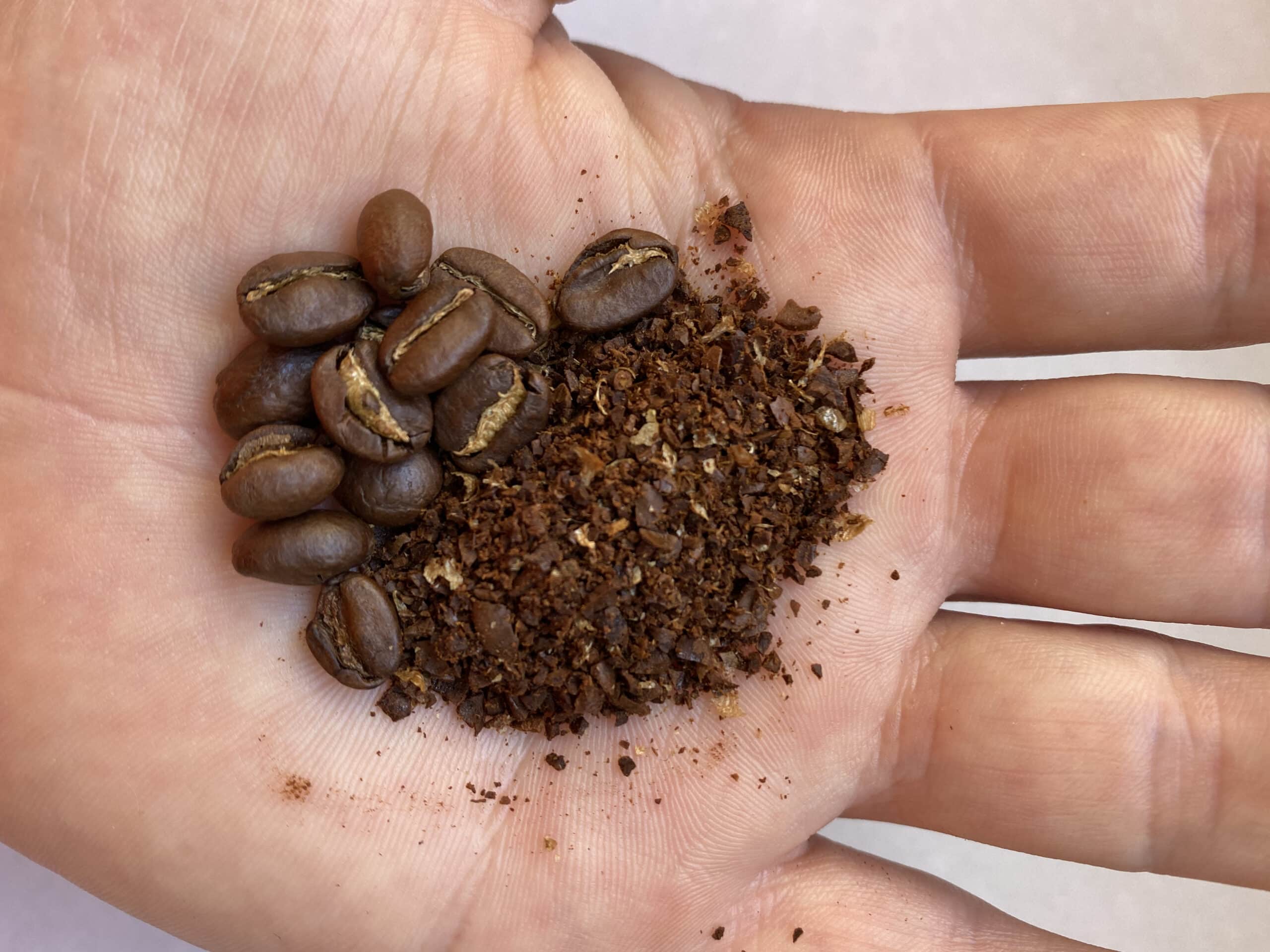 crushed coffee beans lie on the hand close-up