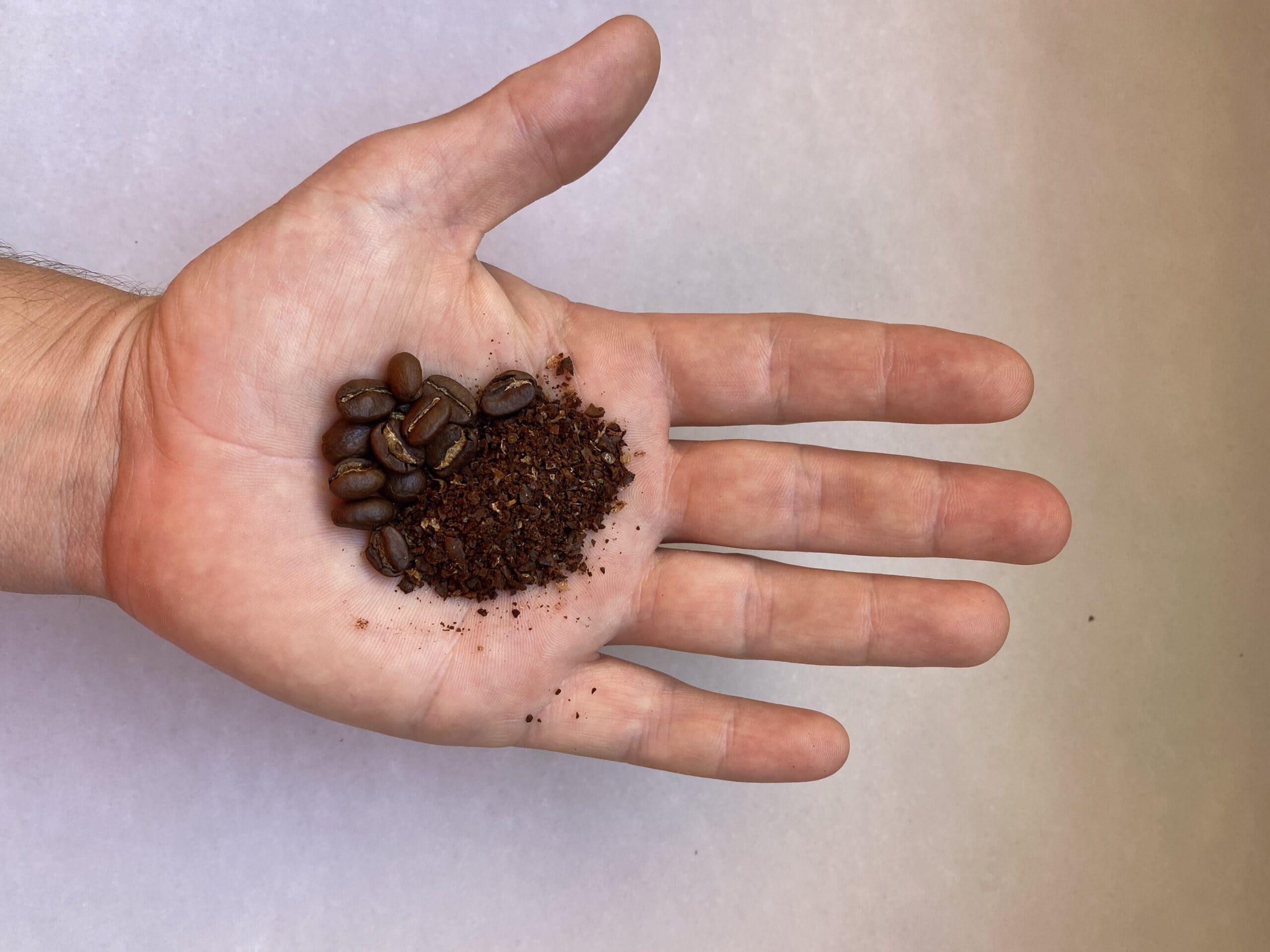 grind coffee beans lies on the hand